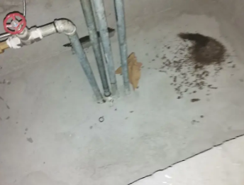 思茅卫生间测漏水价格明细