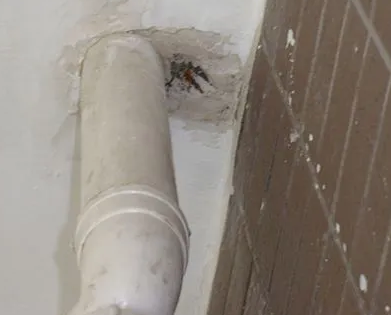 思茅漏水检测哪家好